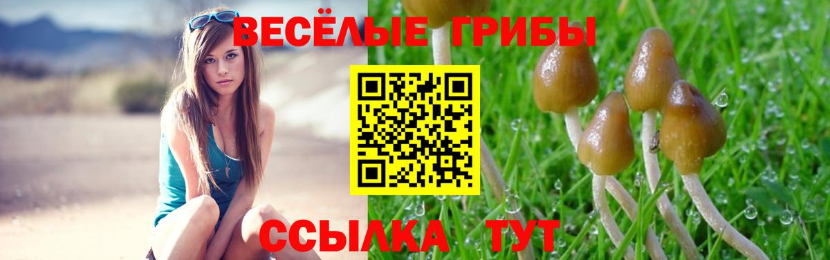 Галлюциногенные грибы GOLDEN TEACHER Великий Новгород
