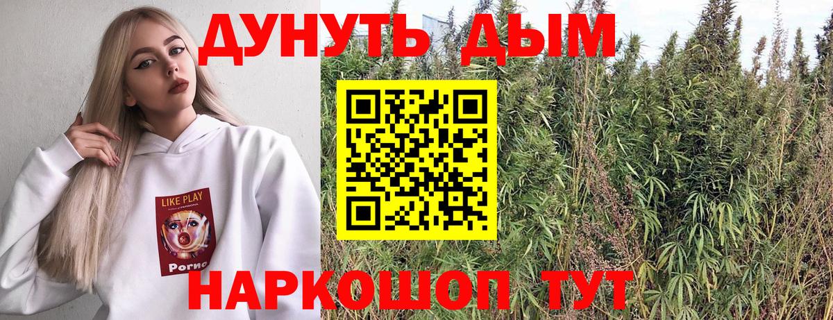 Бошки марихуана конопля  Конопля гибрид  Канабис AK-47  Вход с VPN  Великий Новгород  Бошки Шишки THC 21% 